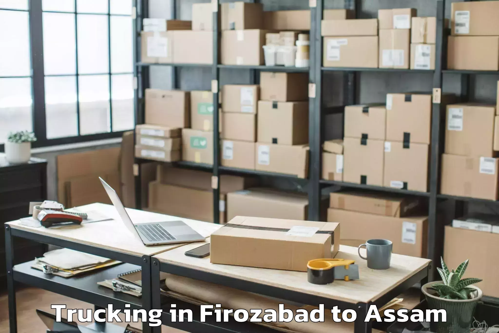 Hassle-Free Firozabad to Lumding Trucking